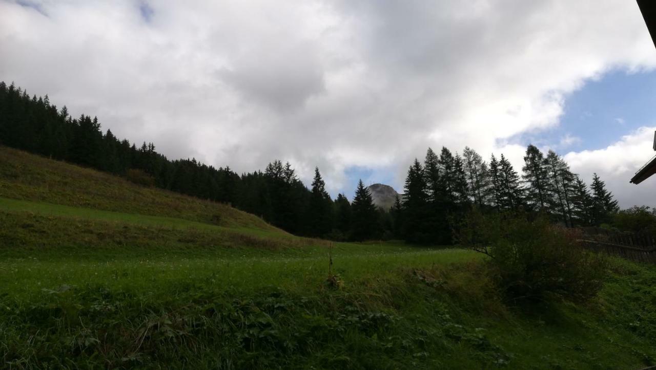 Casamau Studio Campitello di Fassa Eksteriør bilde
